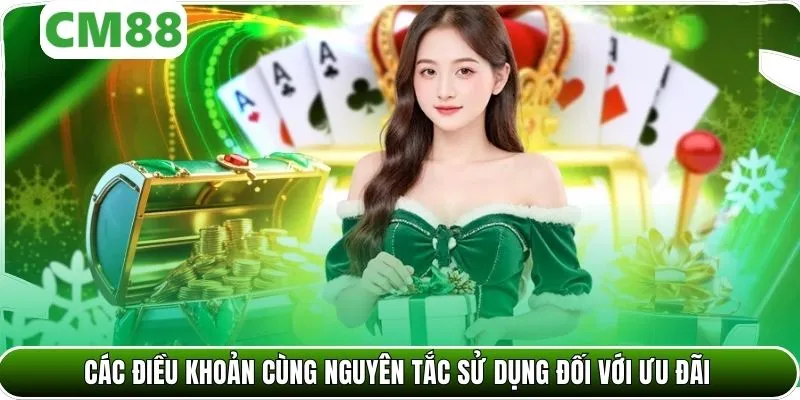 Các điều khoản cùng nguyên tắc sử dụng đối với ưu đãi